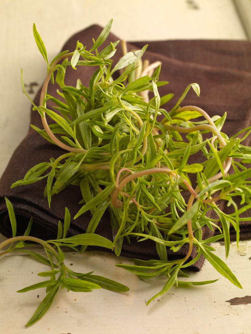 Close-up of savoury herb on brown napkin