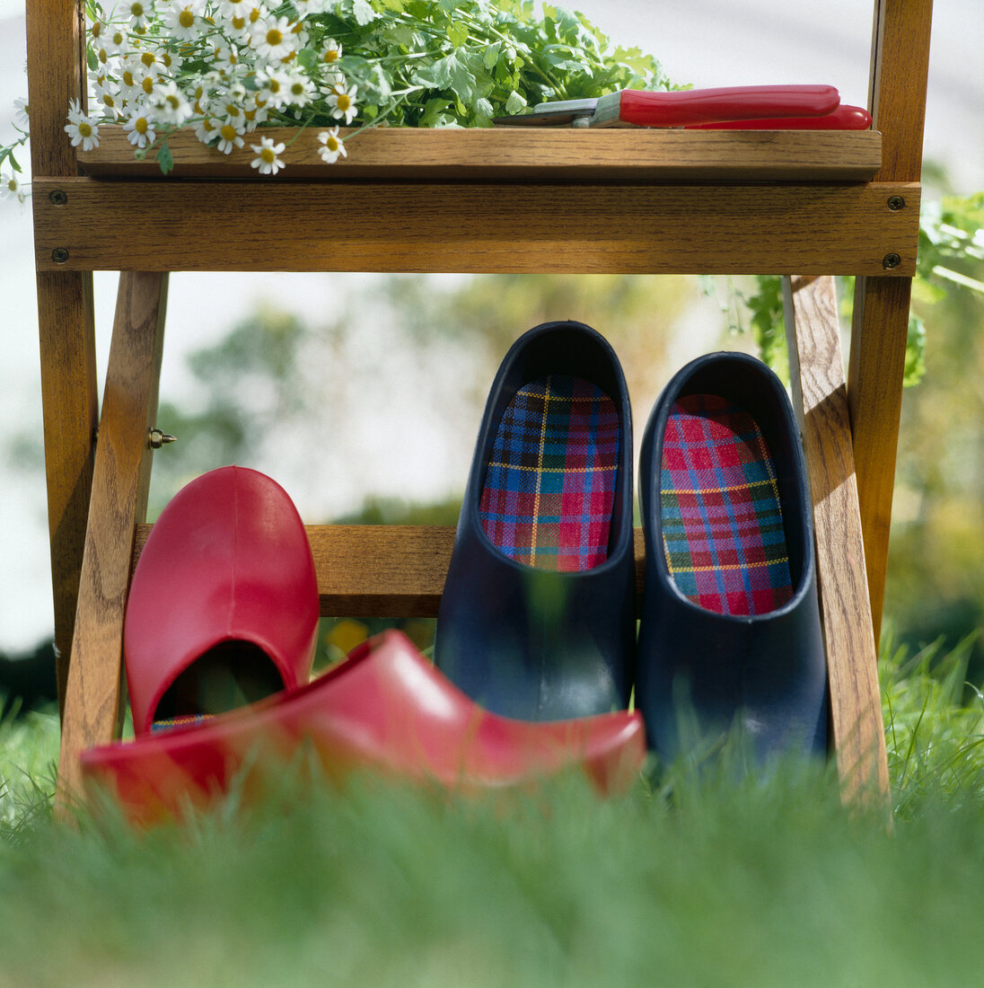 Two pairs of gardening shoes on garden chair with chamomile flower on top