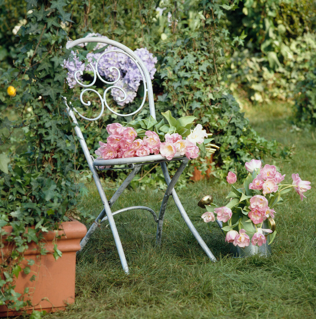 Gartenstuhl auf dem rosa Tulpen liegen