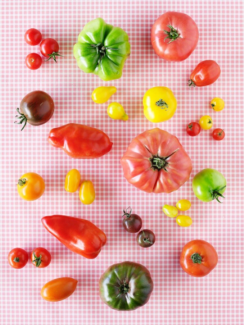 Various different types of tomatoes