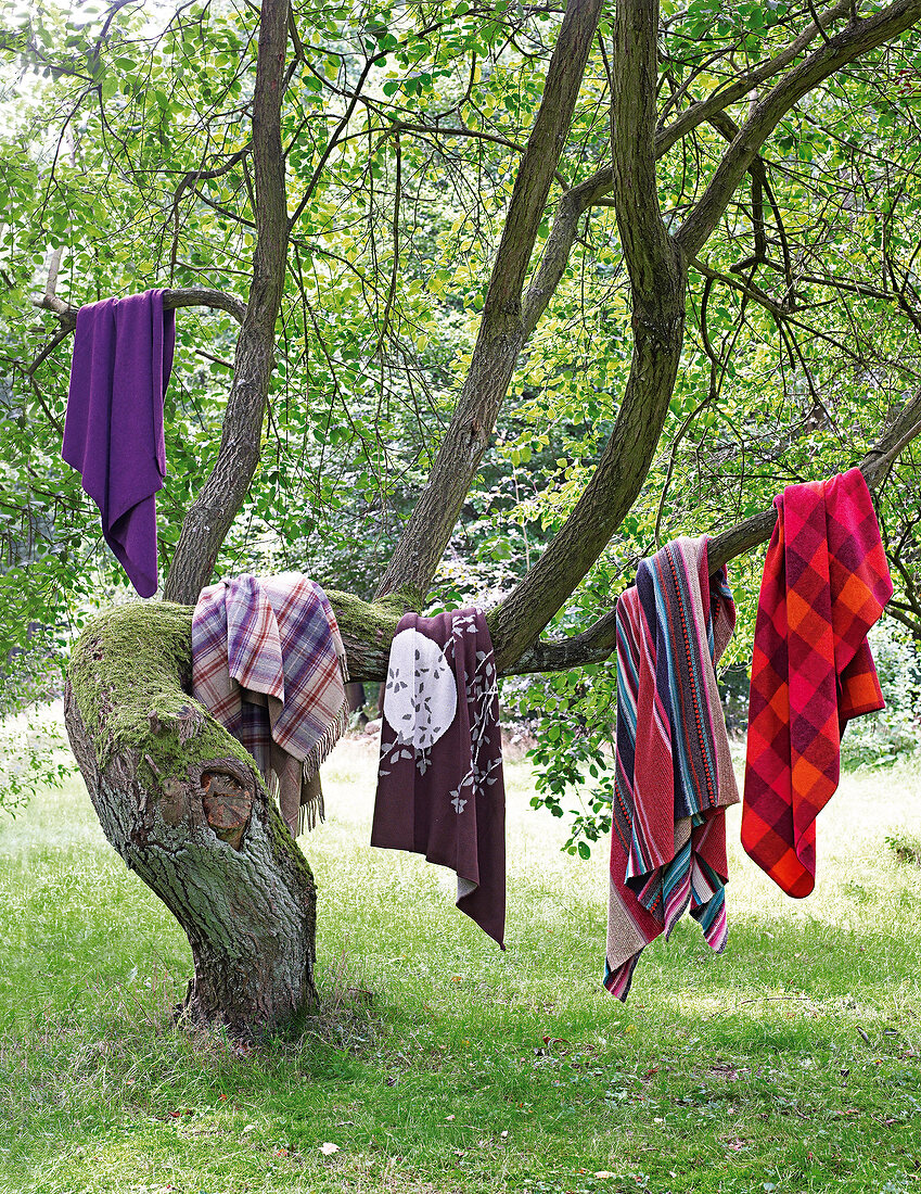 5 Wolldecken hängen über Ästen am Baum