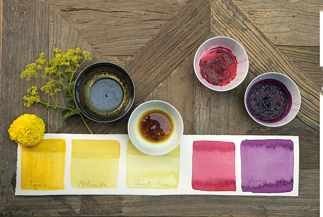 Overhead view of painting bowls with flower and painted colourful squares