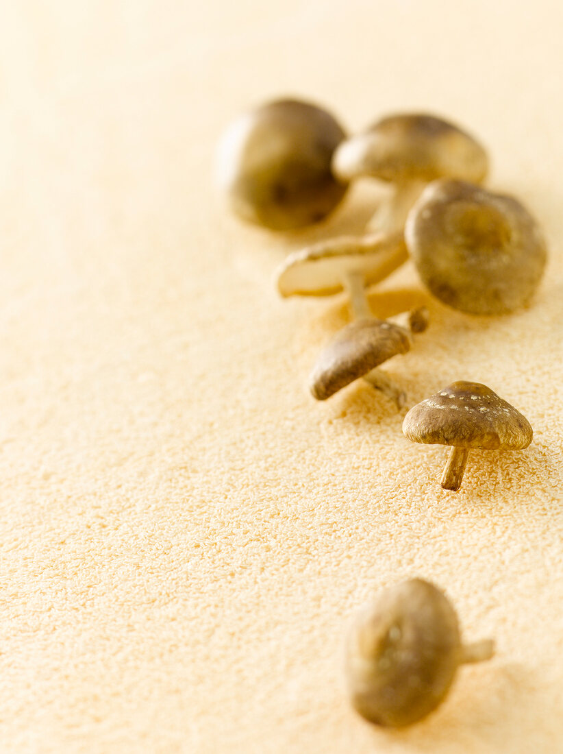 Close-up of shiitake mushrooms kept on surface