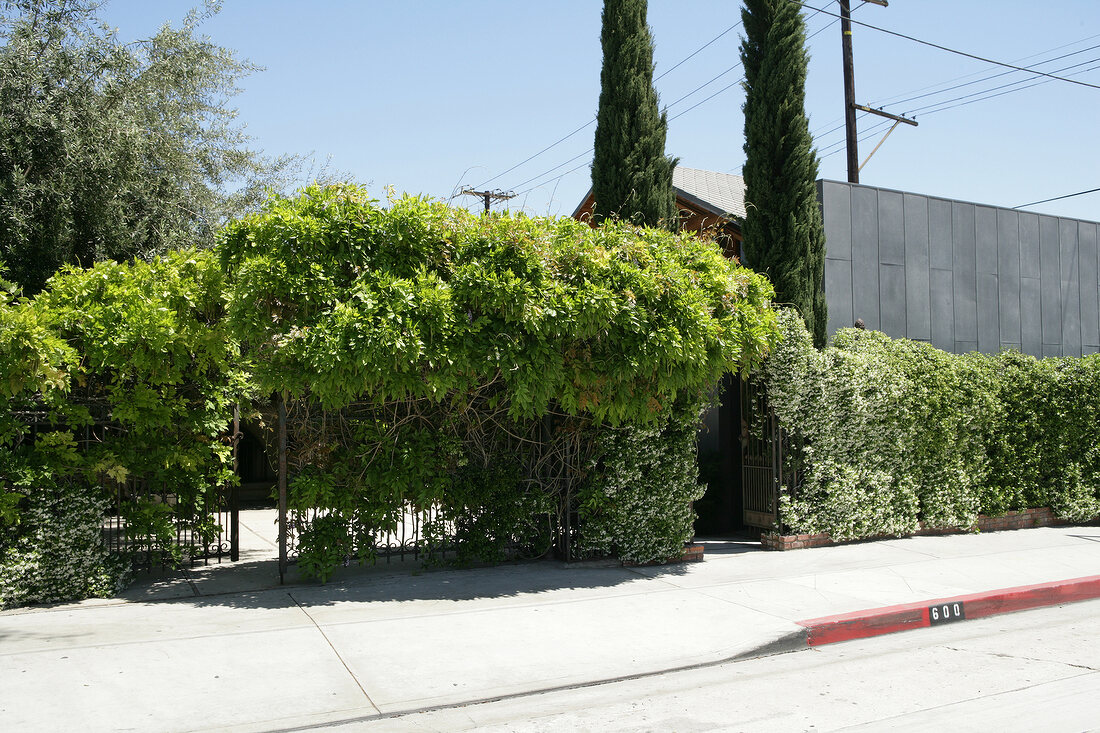 Shop Hollywood Los Angeles