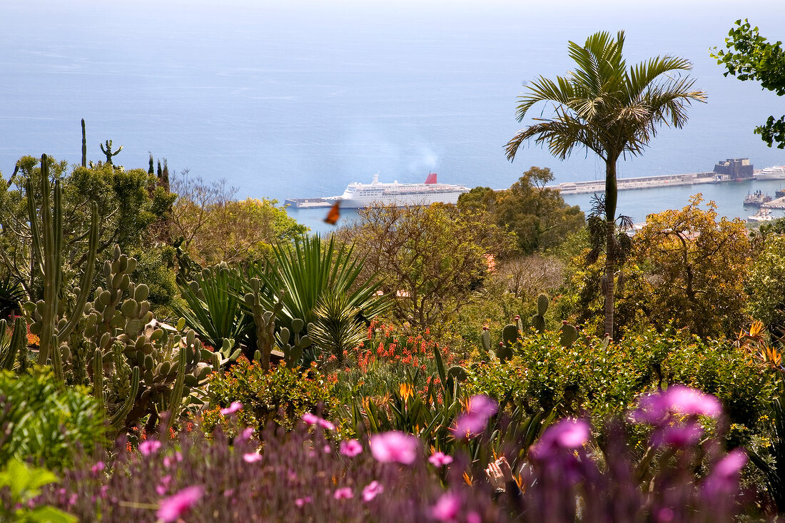 View of botanical garden with sea and cruise ship in background