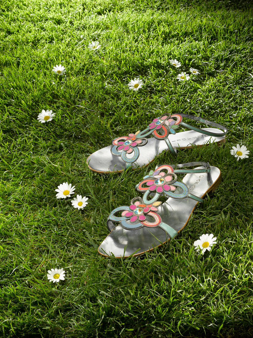 Pair of silver pink sandals kept on meadow with daisies