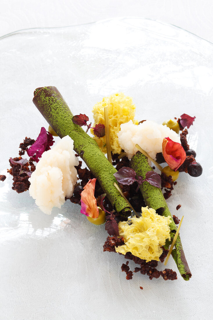 Sorbets, branches and leaves made of chocolate on glass plate