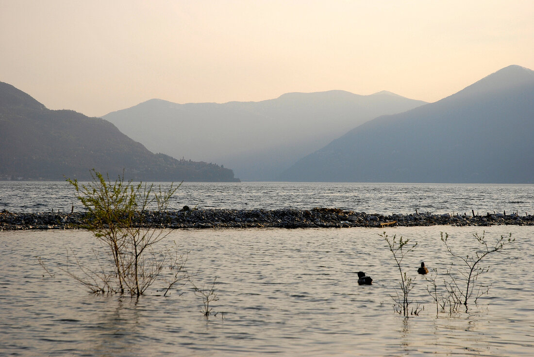 View of Ascona mountain range, lake and reeds at dusk in Ticino, Switzerland