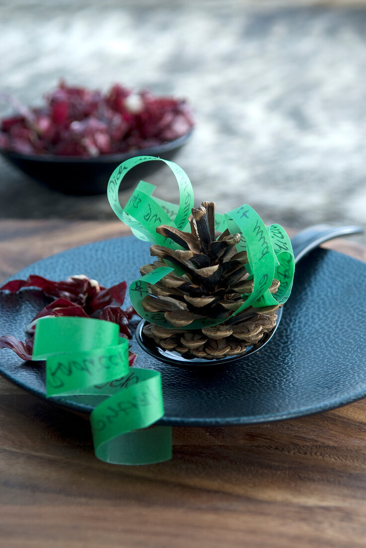 Close-up of green ribbon on pine cone as menu card on plate