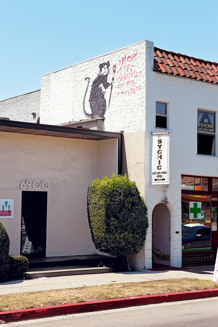 Melrose Avenue building with wall graffiti of rat, Los Angeles, California, USA