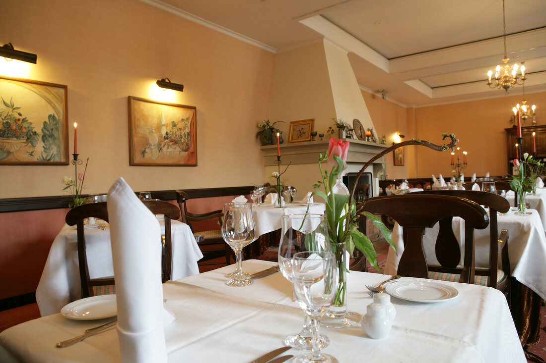 Kaminrestaurant Restaurant im Hotel Schlosshotel Pillnitz Dresden