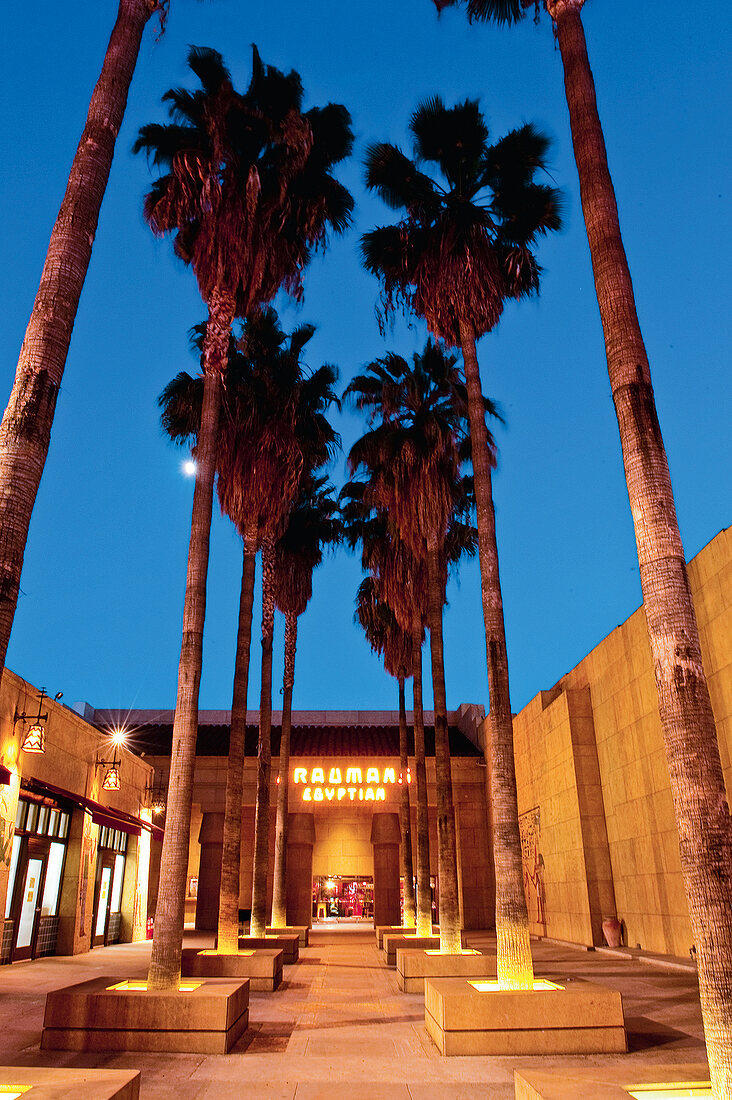 Los Angeles: Grauman¿s Egyptian Theatre, abends, beleuchtet, Palmen