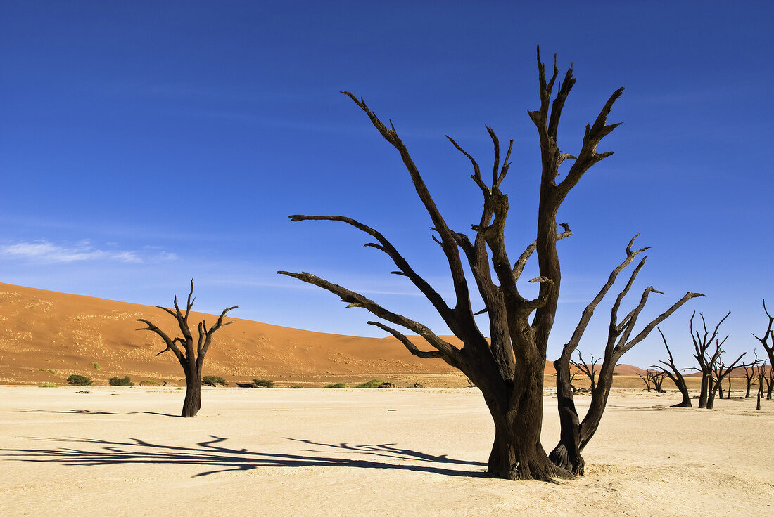 View of Namib-Naukluft National Park in Namibia, Namibia