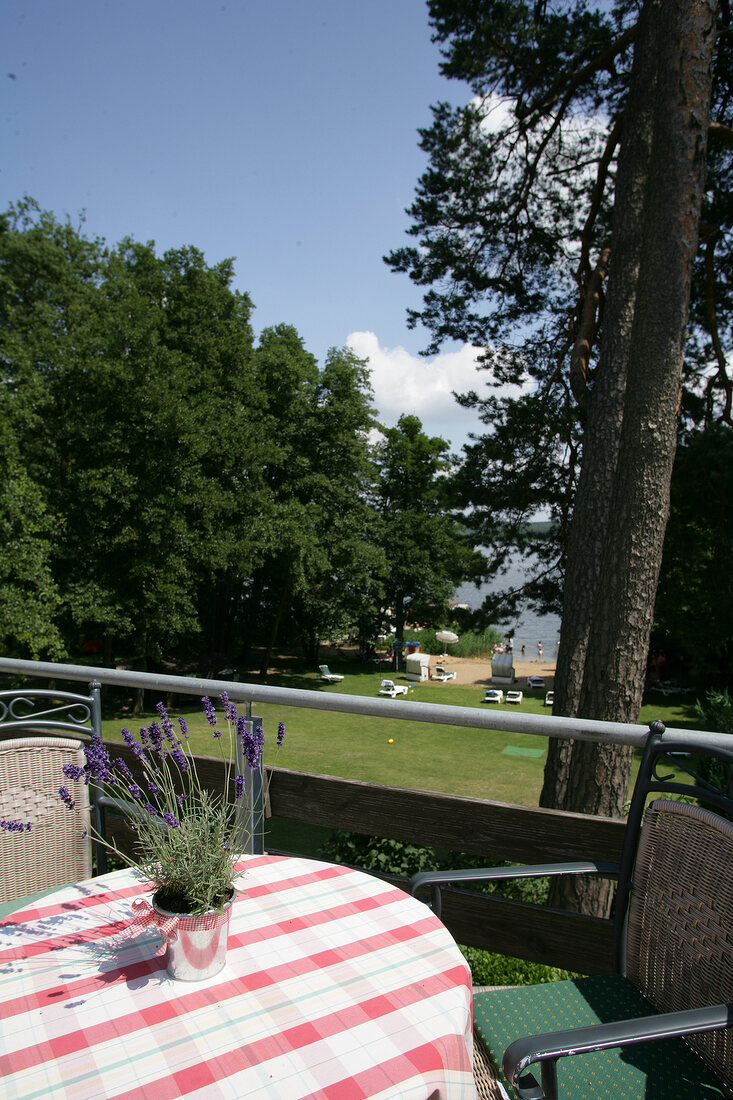 Borchard's Rookus-Hotel Wesenberg Mecklenburg-Vorpommern