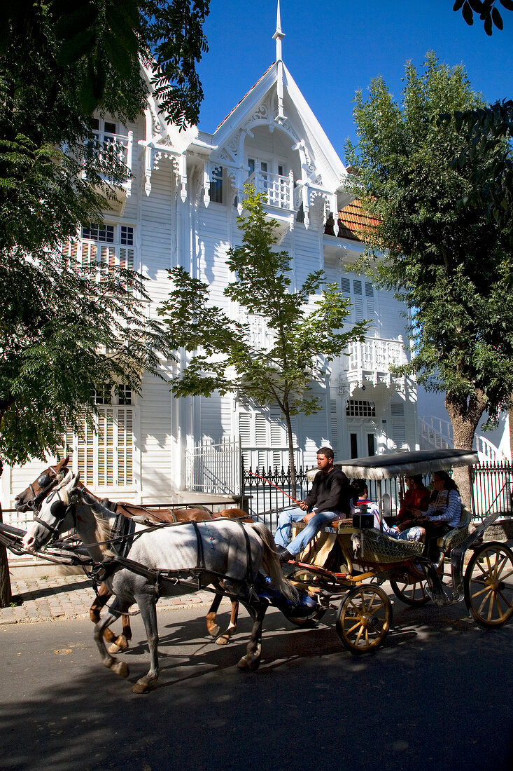 View of people travelling by horse drawn carriage and house at Buyukada, Istanbul, Turkey