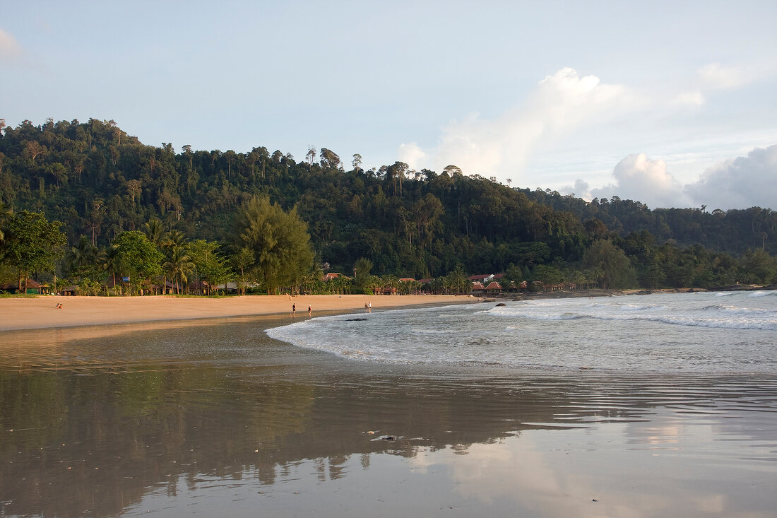View of Khao Lak beach and tropical forest, Thailand