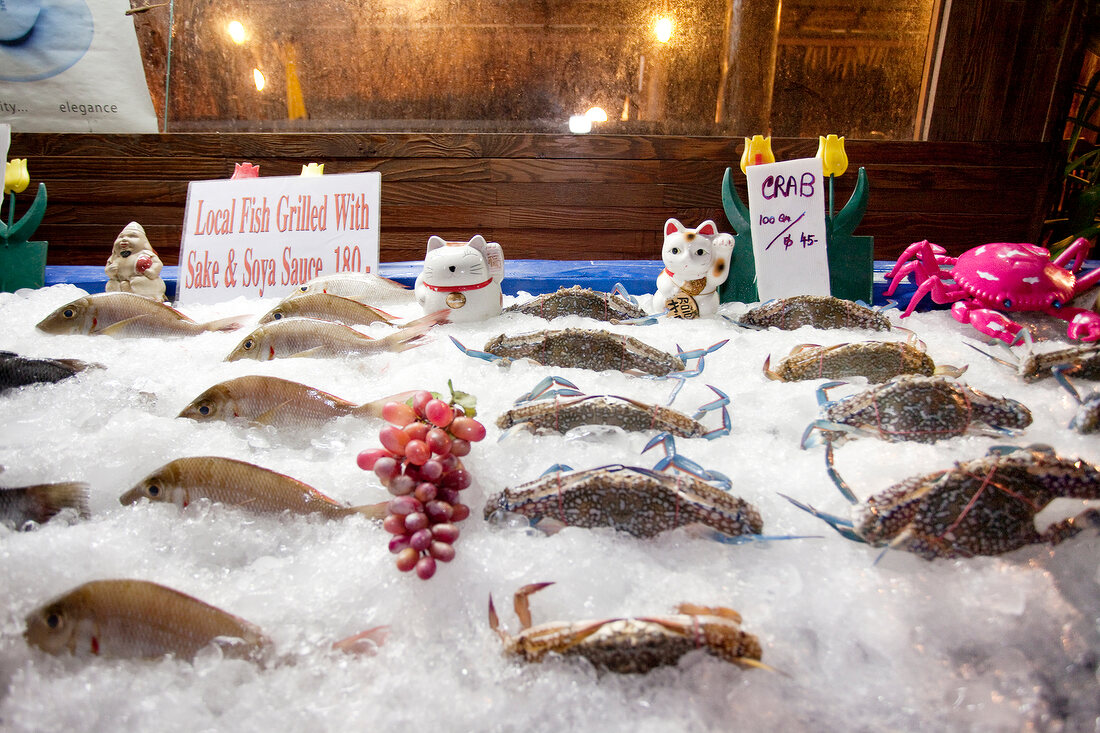 Fresh lobsters and fishes in a row on ice