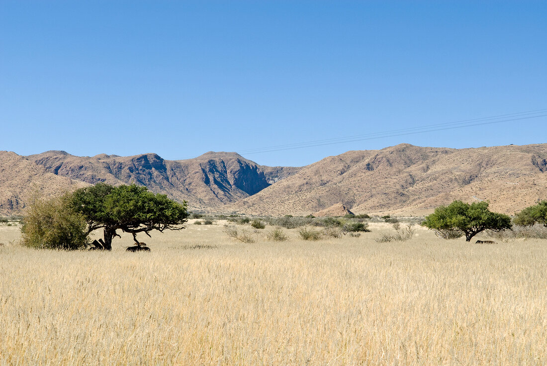 Namibia, Spreetshoogte-Pass, Landschaft