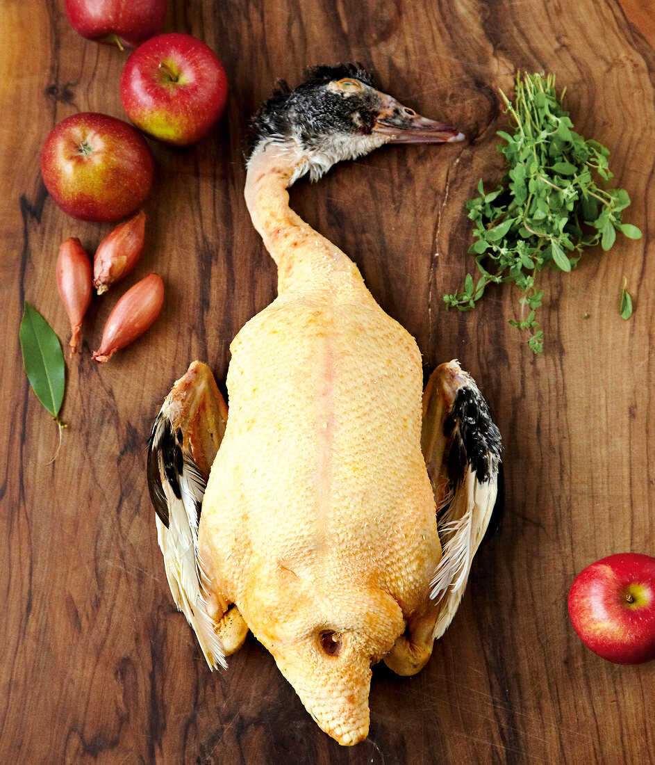 Entenbraten, Step 1, Ente mit Kopf und Innereien