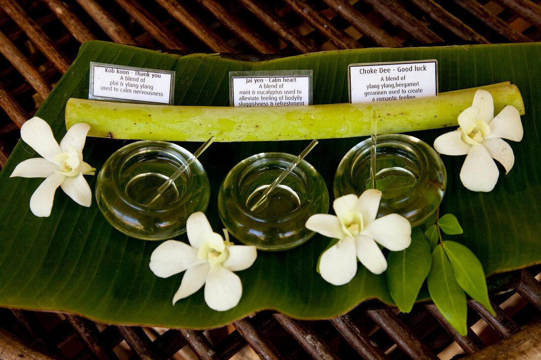 Close-up of various spa oils kept beside white flowers, Phuket, Thailand