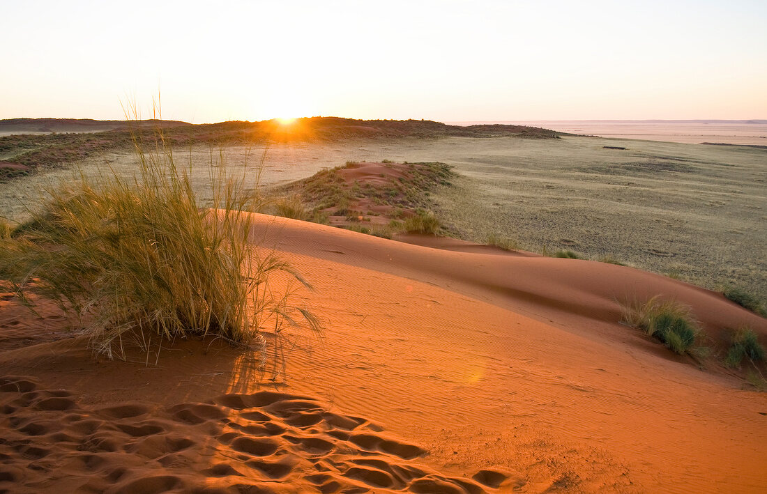 Namibia, Übergang von der Steppe zur Wüste, Sonnenuntergang