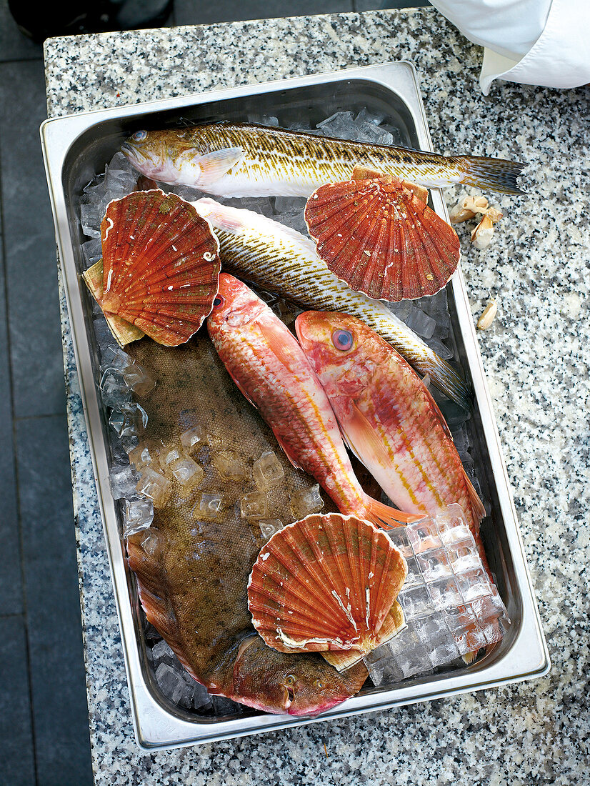 Various fishes and mussels on ice in baking dish