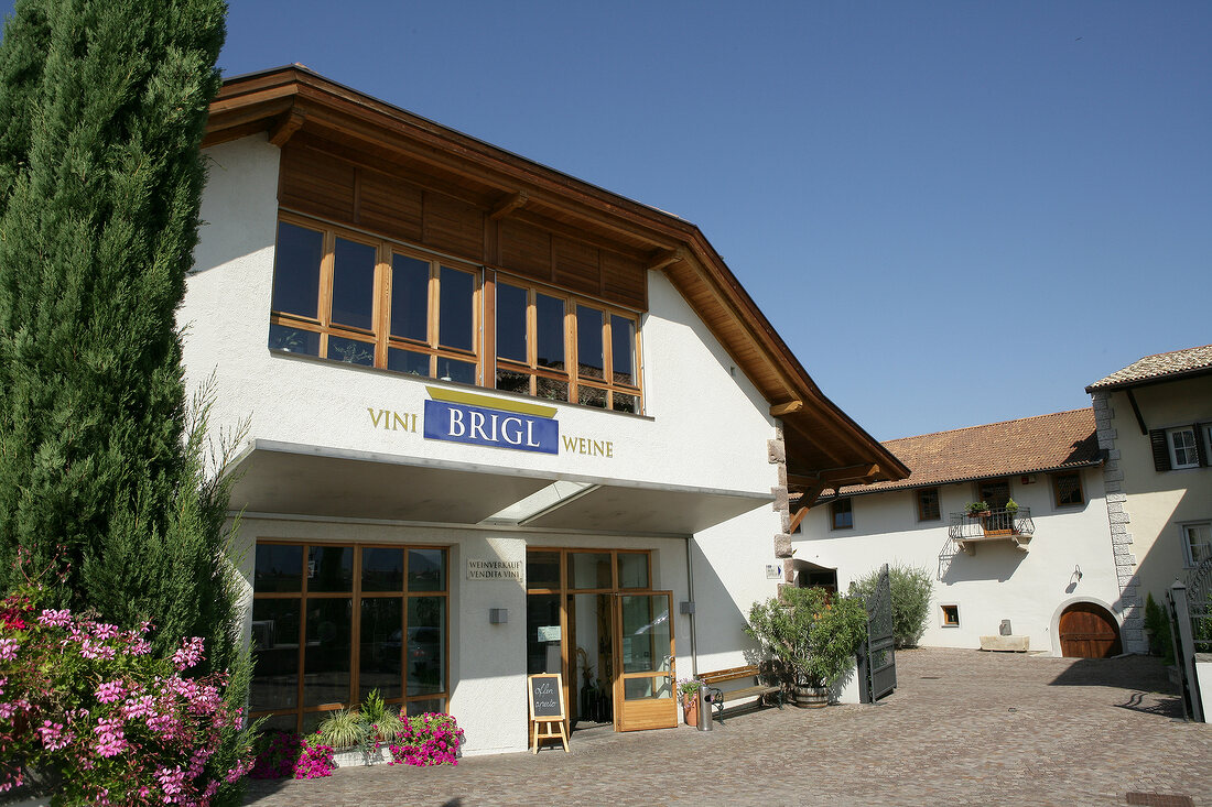 Josef Brigl Weingut Shop