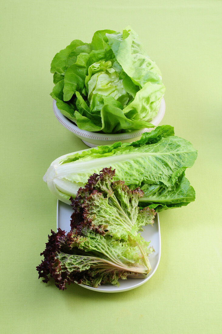 Three types of lettuce on green background