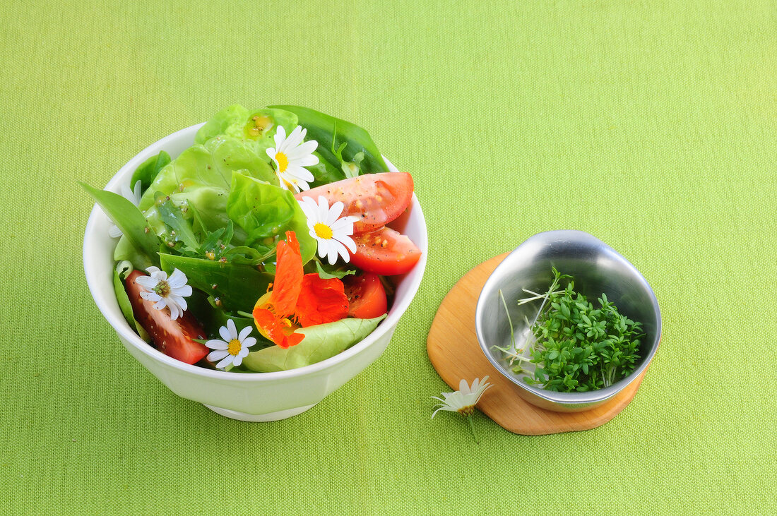 Salate, Frühlingskräutersalat