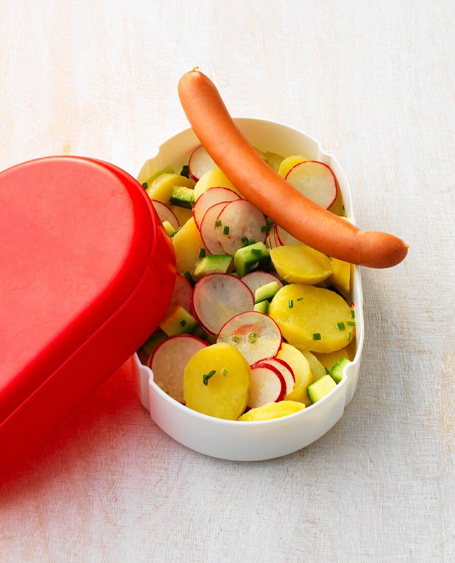 Potato salad with radishes and a hot dog in a plastic box