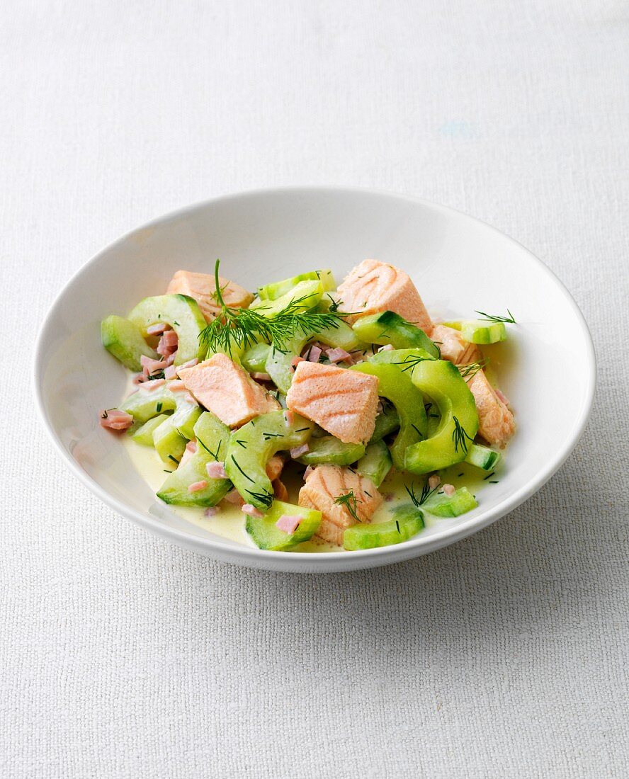 Salmon ragout with cucumber and dill on a plate