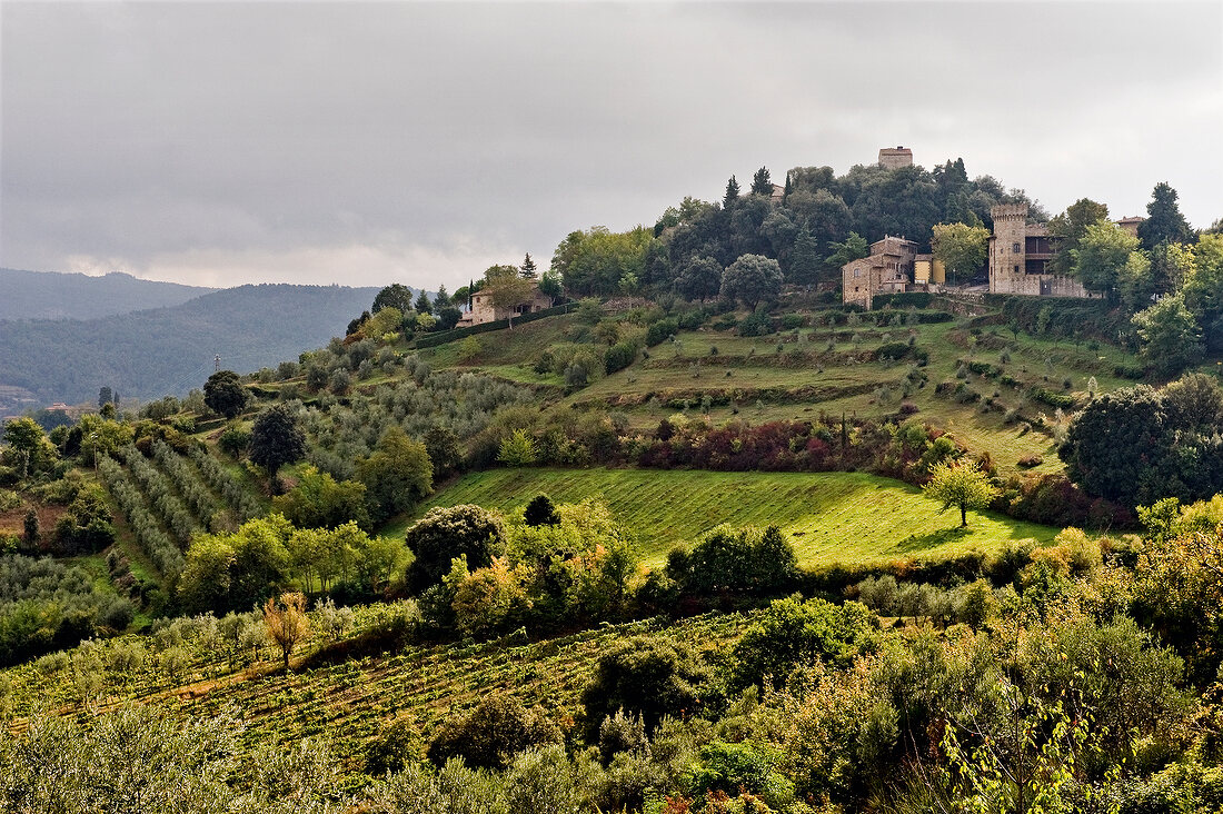 Italien, Toskana, Blick über Wein- landschaft bei Panzano