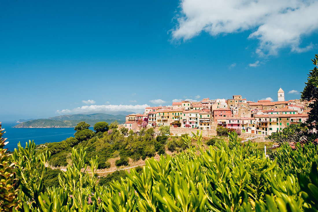 View of Capoliveri overlooking Mediterranean sea on Elba Island, Italy
