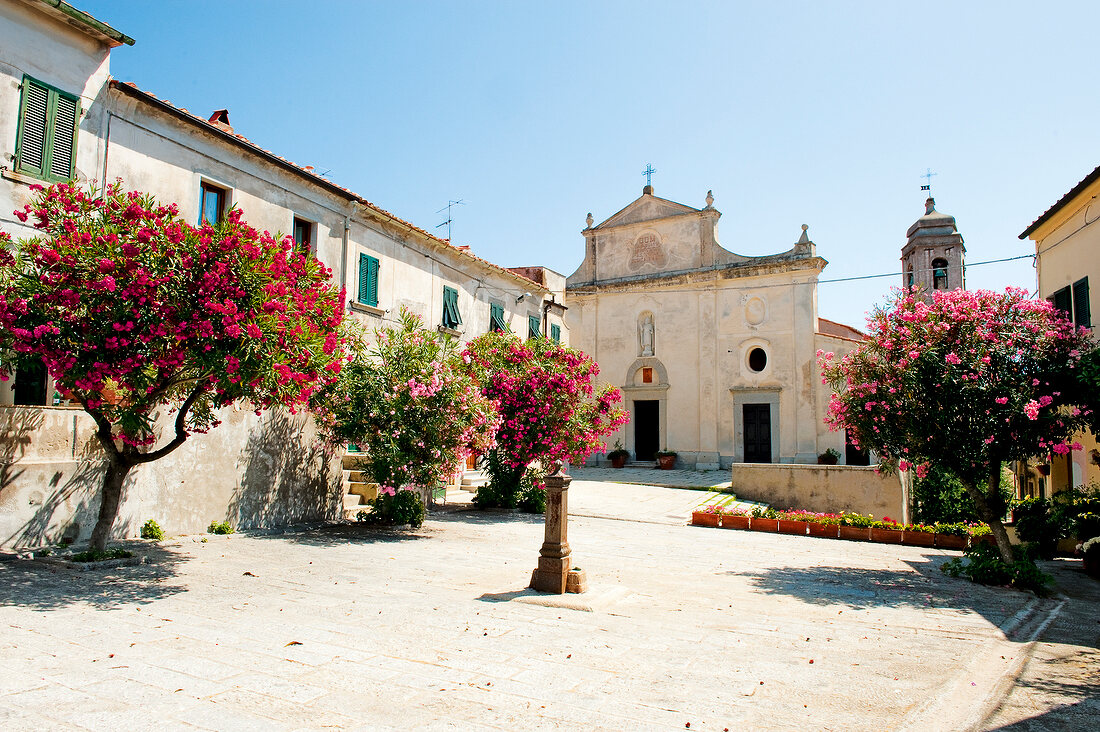 Facade of Sant'ilario with flowering shrubs in San Polo d'Enza, Tuscany, Italy