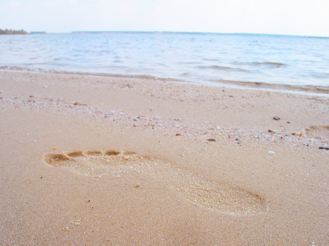 Close-up of footprint in sand at Baltic beach, Stralsund, Germany