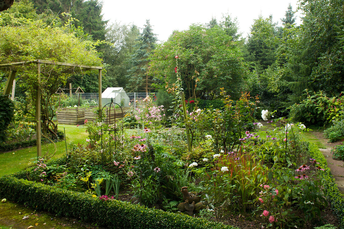 Grassy vegetable garden with clematis, rambler roses and sweet william