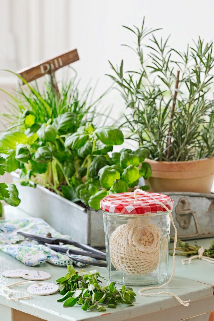 A ball of string in a jam jar with a hole in the lid in front of a tray of potted herbs