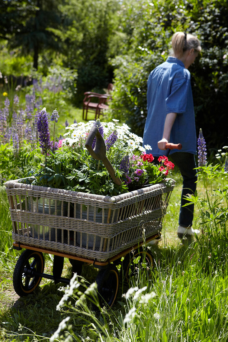 Woman pulling a garden cart with flowers in garden