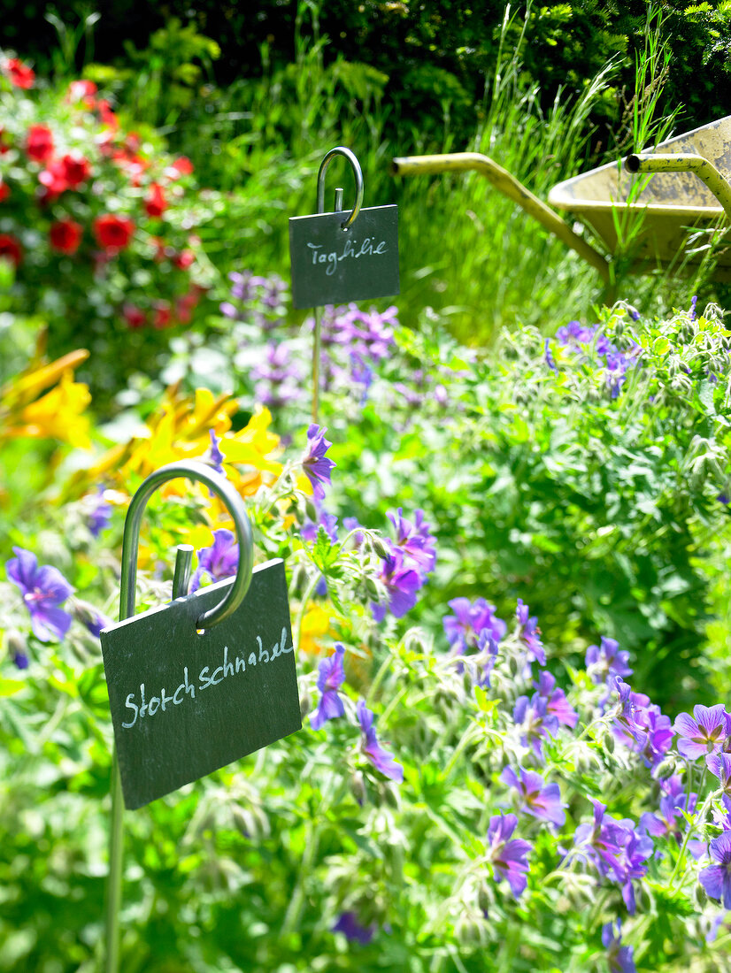 Close-up of plant signs on slate on metal rods in flower garden