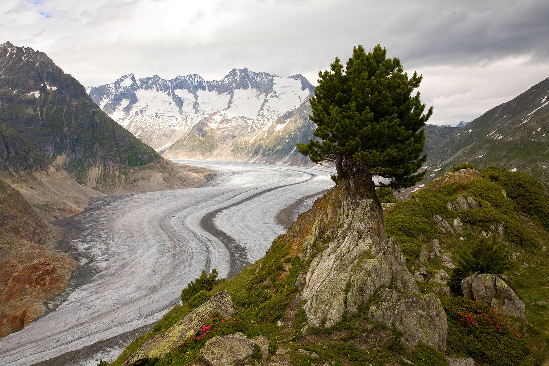 Wallis, Aletschgletscher, X 