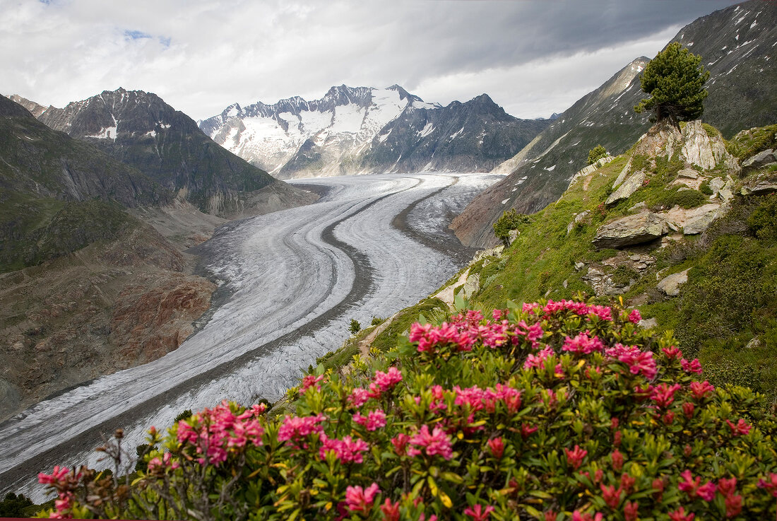 Wallis, Aletschgletscher, X 