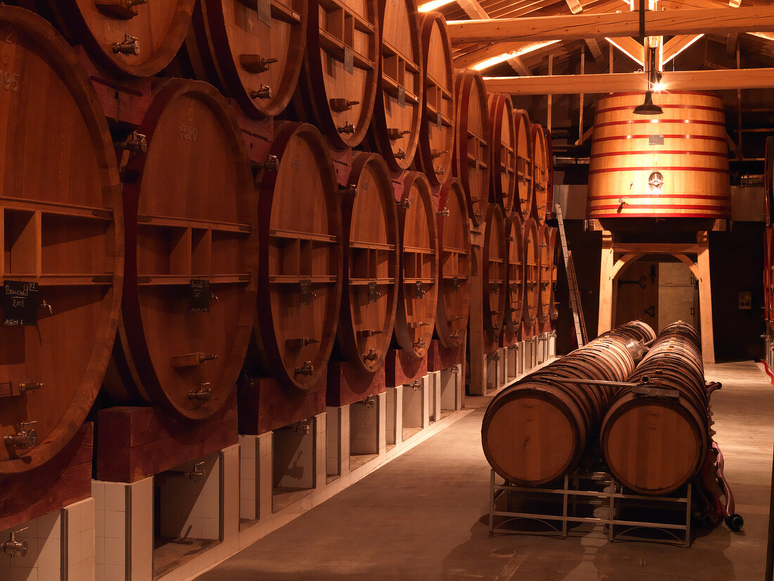 View of cellars with oak barrels, Chateau of beaucastel