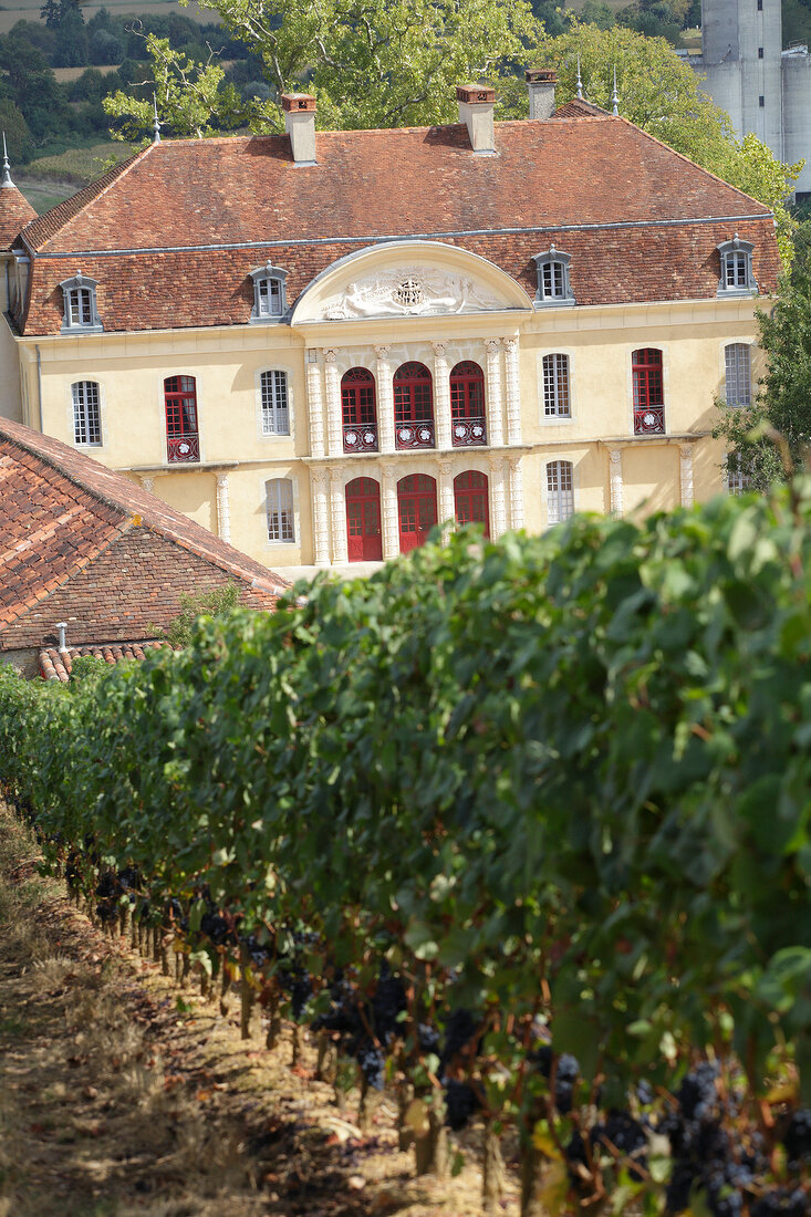 View of mansion with vineyard, Chateau montus brumont