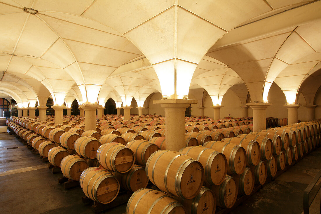 Several barrel in wine cellar, Chateau montus