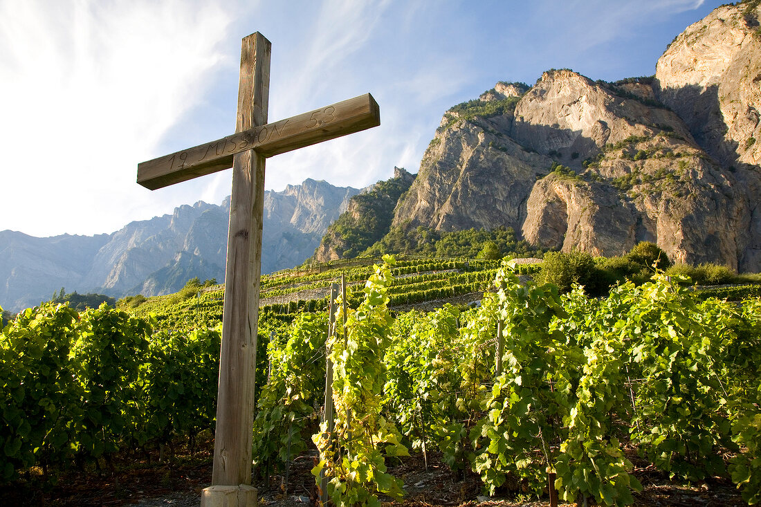 Wallis, Blick auf die Weinterrassen, ein Holzkreuz im Vordergrund