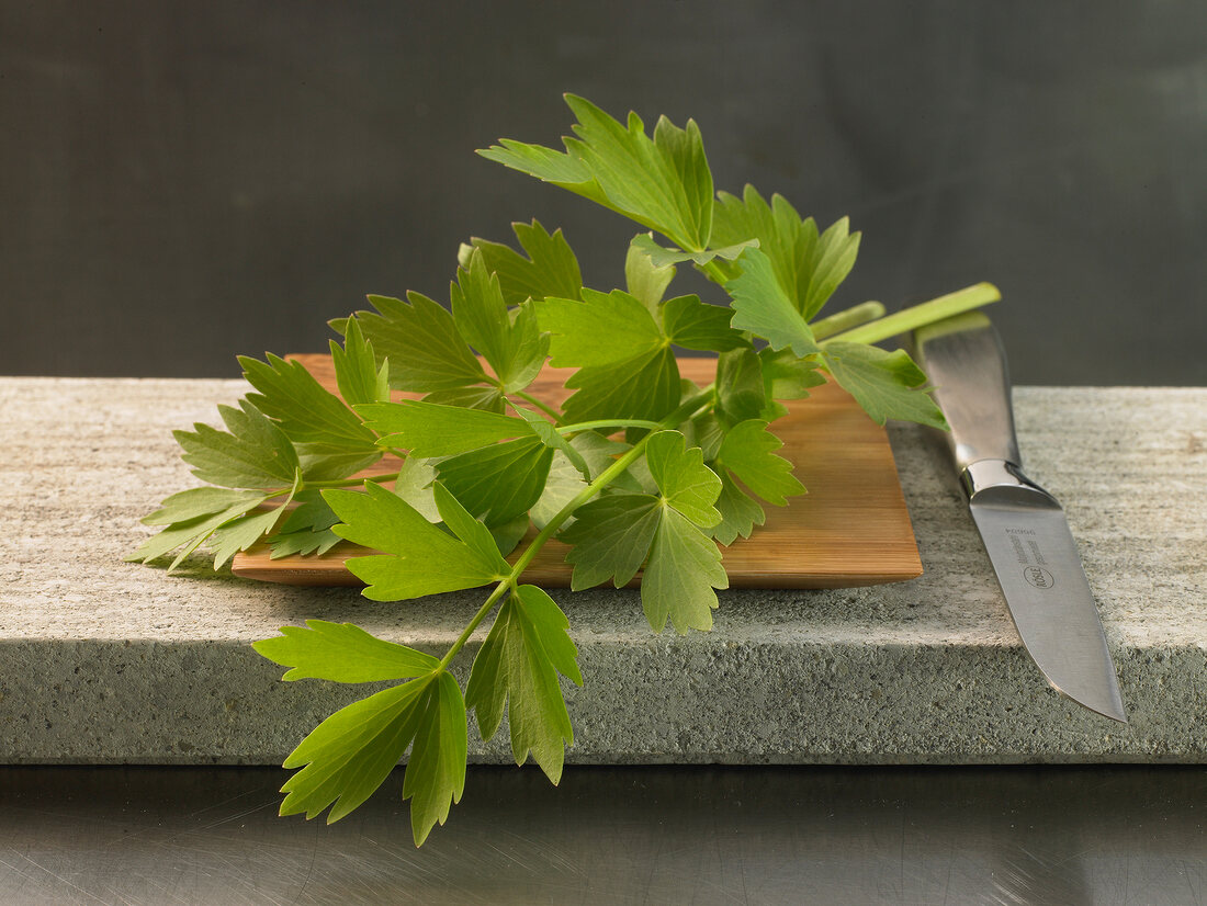 Close-up of lovage on chopping board