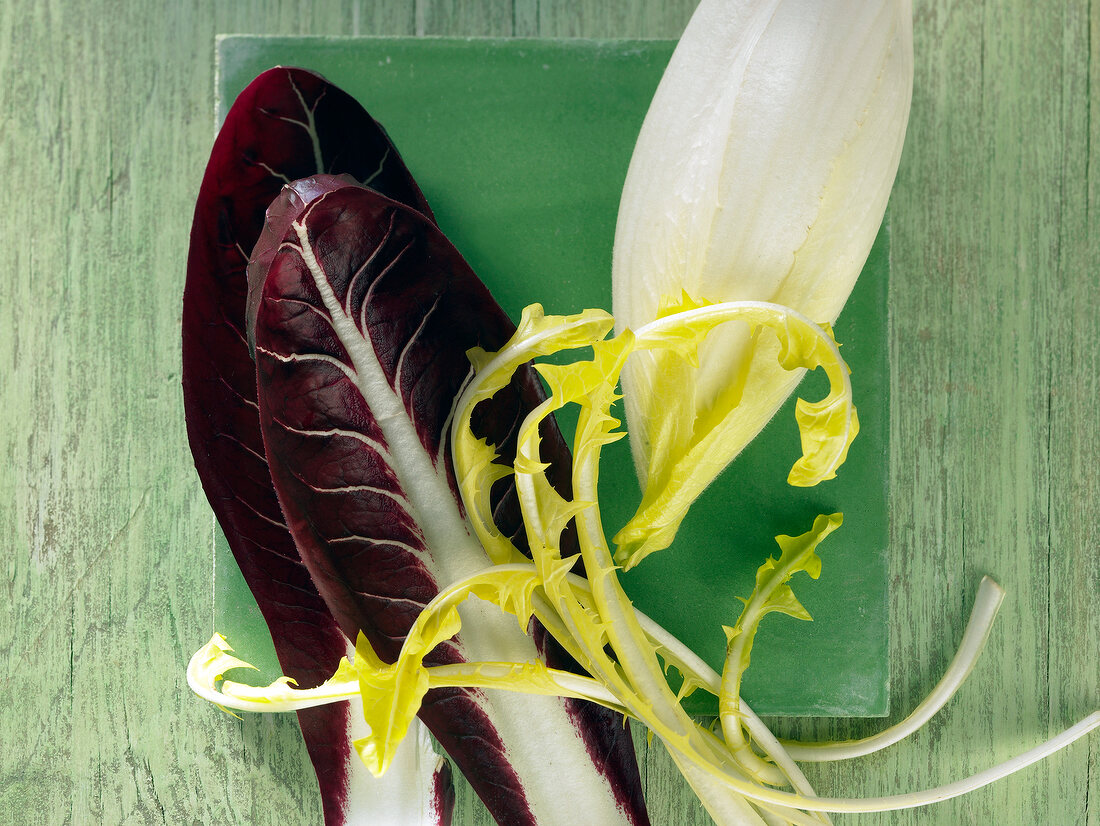 Close-up of chicory and leaves on green surface