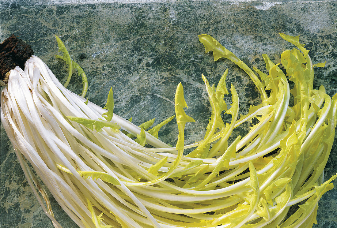 Close-up of fresh salad leaves