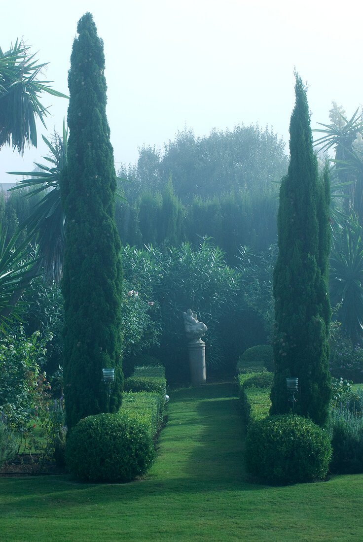 Spanish garden with two cypress trees and fog