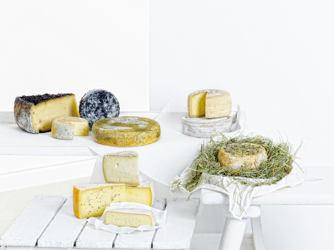 Various types of cheese from South Tyrol on table